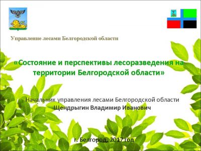 Состояние и перспективы лесоразведения на территории Белгородской области - фото 1