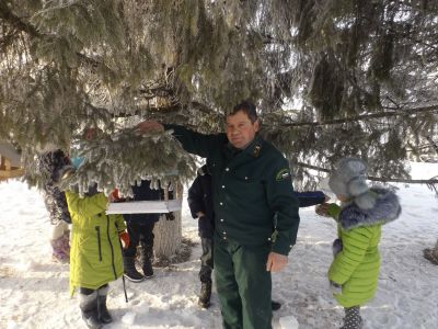 На территории региона белгородскими лесоводами  размещено 2500 кормушек для птиц - фото 1