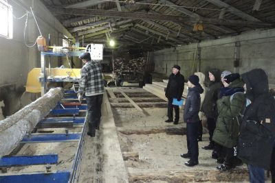 Члены школьного лесничества «Муравей» Тверской области  посетили лесозаготовительную базу - фото 1