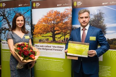 Белгородский дуб – в тройке лидеров конкурса «Европейское дерево года-2018» - фото 1