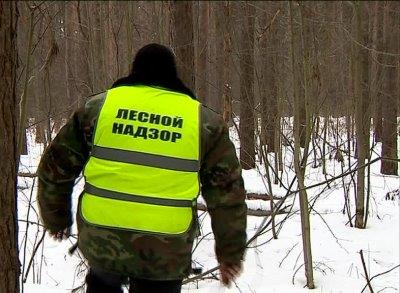 На помощь государственным лесным инспекторам Ярославской области приходят общественные лесные инспекторы - фото 1