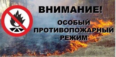 В Подмосковье введен особый противопожарный режим - фото 1