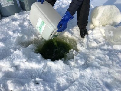 Минэкологии: в рамках экореабилитации реки в Балашихе вселено более полутора тысяч литров микроводоросли - фото 1