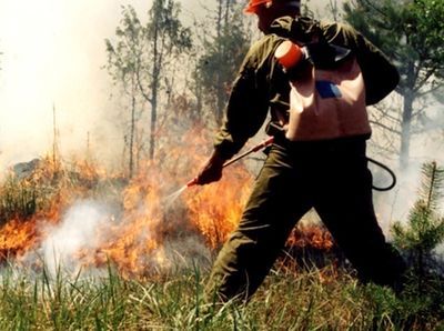 Ликвидирован лесной пожар в Нейском районе Костромской области - фото 1