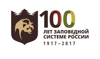 На острове Медном изучат взаимоотношения между матерью и детенышем сивучей - фото 1