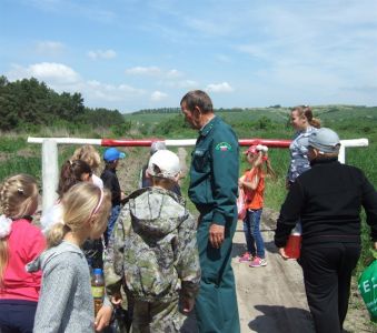Юные жители Ивнянского района  Белогорья побывали с экскурсией на территории лесничества - фото 1