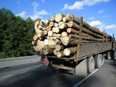 Контроль перевозчиков древесины в Костромской области - фото 1