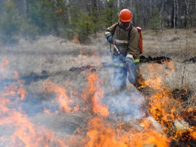 Лесные пожарные Воронежской области приведены в состояние повышенной готовности - фото 1