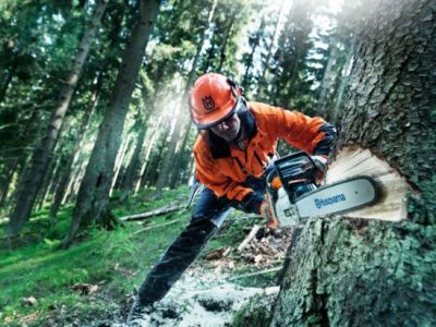 Региональный конкурс вальщиков леса  «Лесоруб-2018» пройдет в Костромской области - фото 1