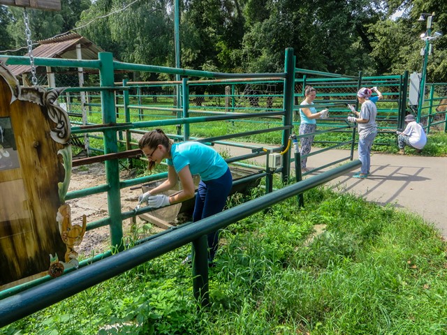 Жара волонтёрам не страшна! - фото 12