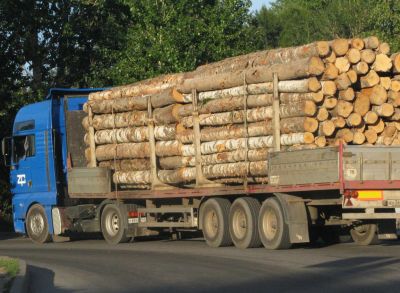 С начала 2018 года в Осташковском районе Верхневолжья зафиксировано 14 нарушений правил транспортировки древесины - фото 1