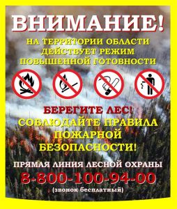 О лесопожарной обстановке на территории Смоленской области - фото 1