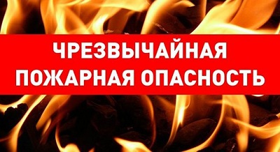 В лесах Воронежской области возросла вероятность  возникновения и распространения пожаров - фото 1