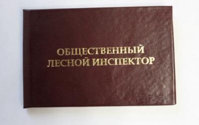 Взаимодействие органов государственной власти Орловской области с субъектами общественного надзора - фото 1