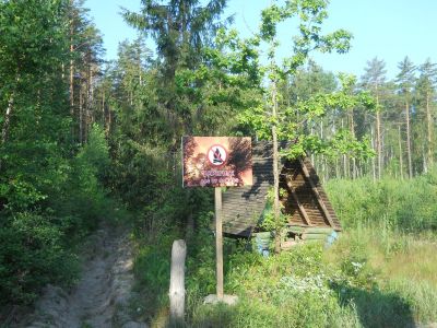 В Брянской области введено ограничение пребывания граждан в лесах и въезда в них транспортных средств - фото 1