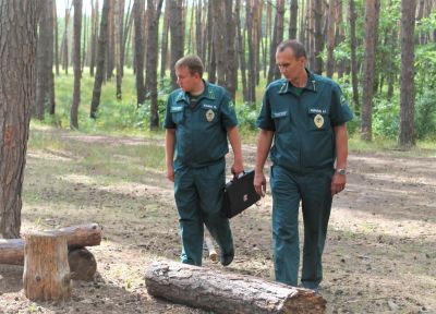Более трёх тысяч рейдов провели лесные инспекторы Белгородской области с начала пожароопасного сезона    - фото 1