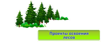 100 проектов освоения лесов Воронежской области получили положительную оценку - фото 1