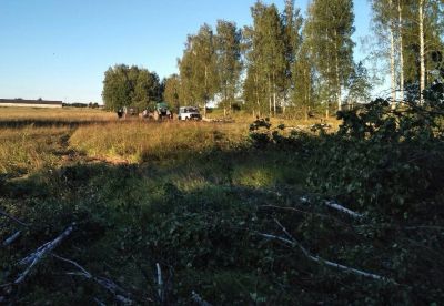 Предотвращение незаконных рубок на Брянщине - фото 1
