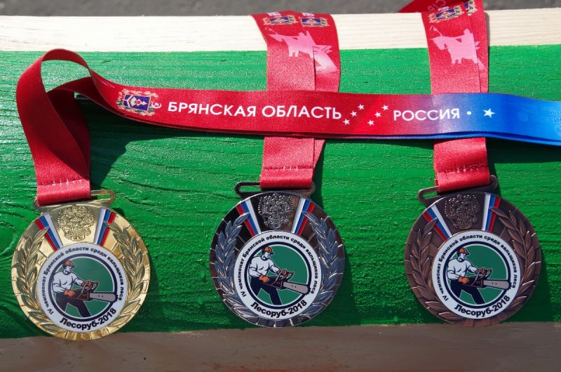 Впервые в Брянске состоялся IV Чемпионат Брянской области среди вальщиков леса «Лесоруб-2018» - фото 2