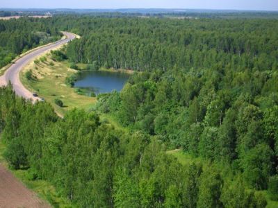 История Кадыйских лесов Костромской области - фото 1