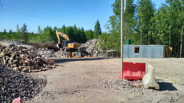 Экологи выявили незаконное строительство дороги в Ленобласти - фото 4