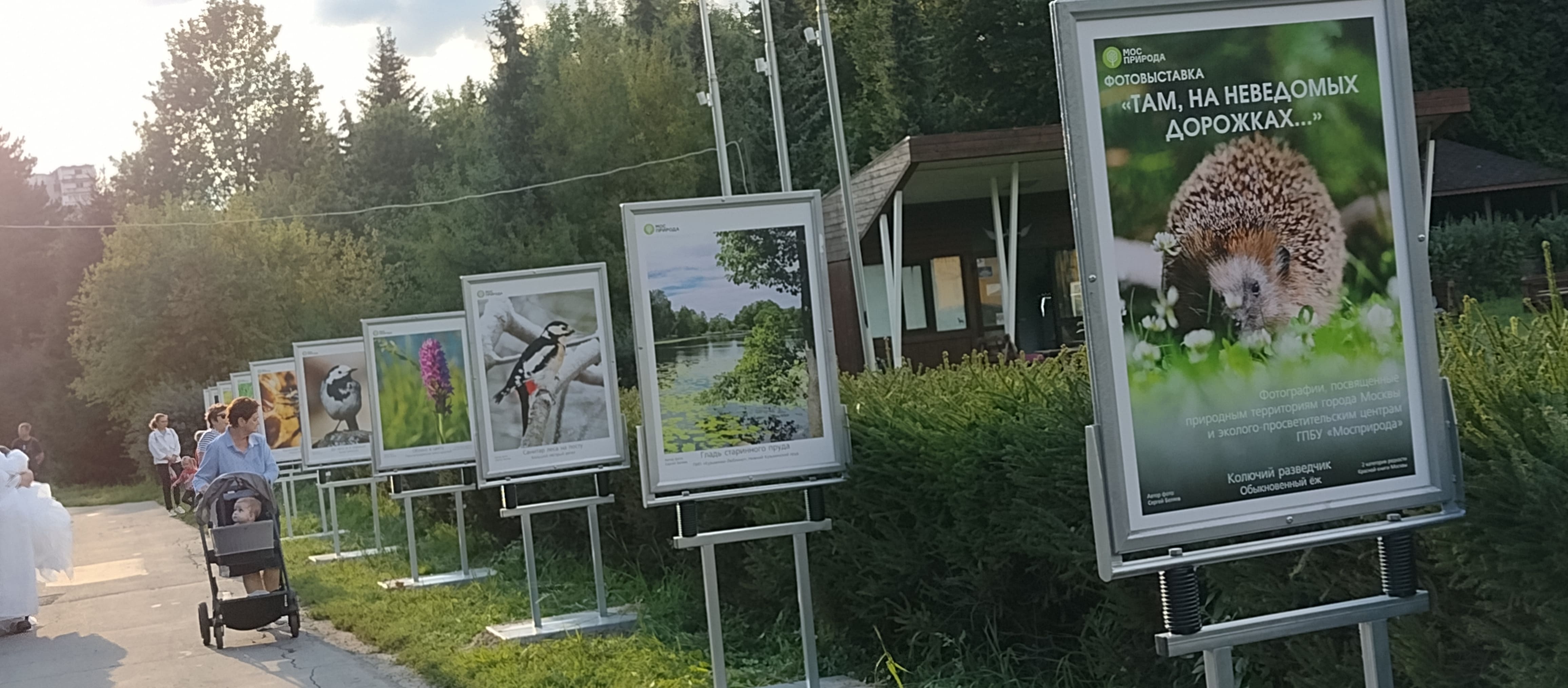 Там, на неведомых дорожках: в Бирюлёвском дендропарке открылась фотовыставка, посвящённая экоцентрам и природе Москвы  - фото 2