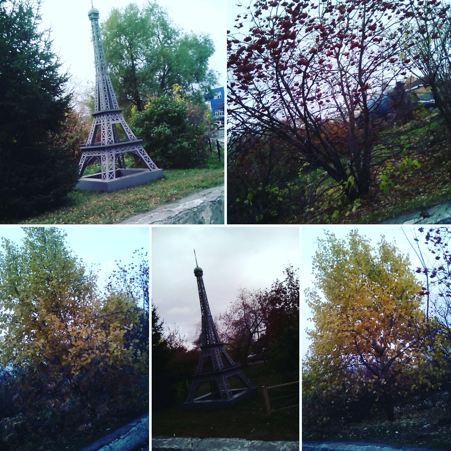 Просто маленькая Парижская осень в Новосибирске - фото 1