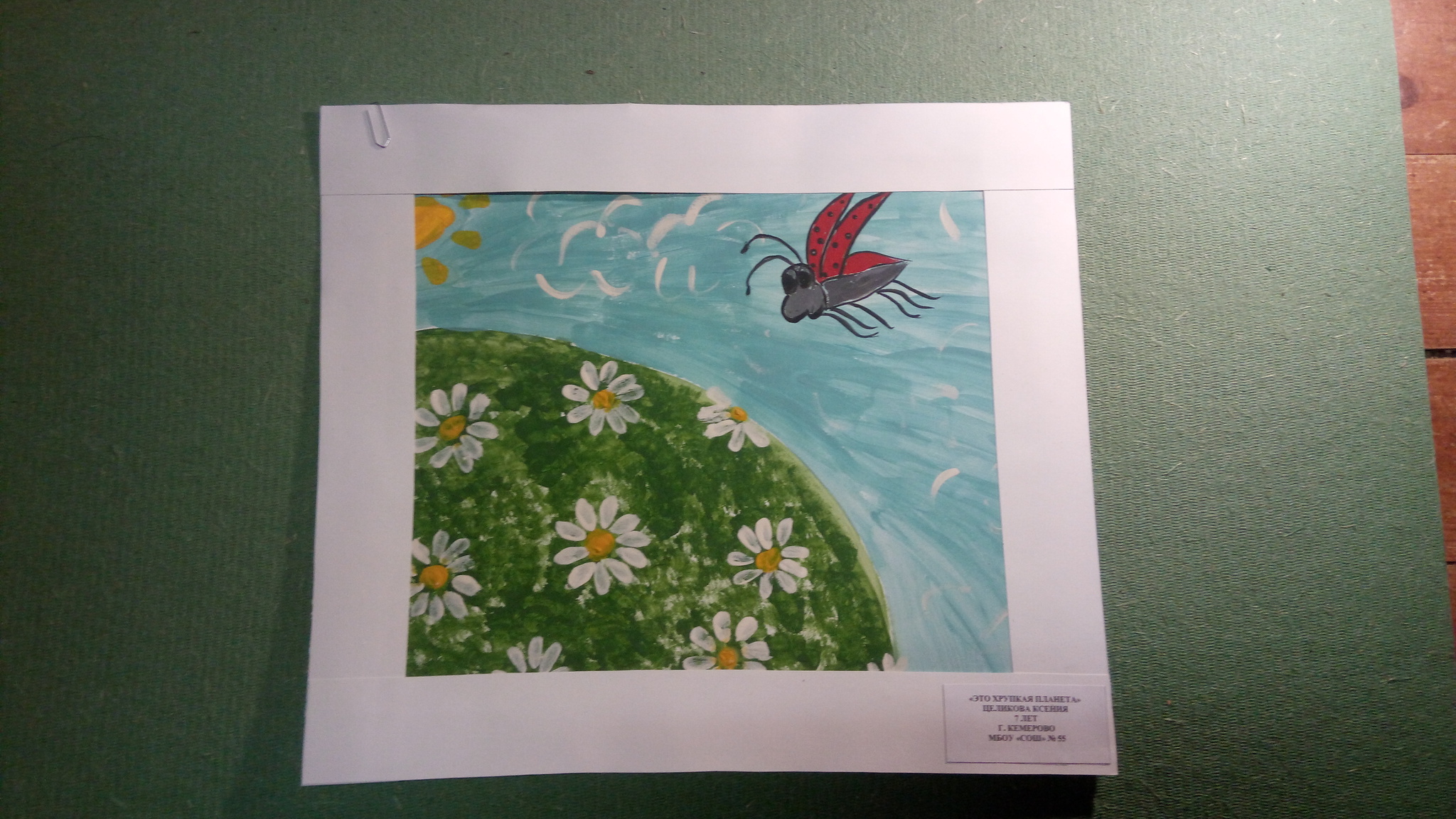 Международный Конкурс детского рисунка в рамках номинации «Экологическое образование, просвещение и культура» Международной экологической премии «EcoWorld» 2020 (возрастная группа 5-7 лет) - фото 5