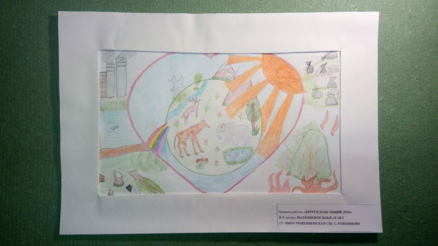Международный Конкурс детского рисунка в рамках номинации «Экологическое образование, просвещение и культура» Международной экологической премии «EcoWorld» 2020 (возрастная группа 8-17 лет) - фото 40