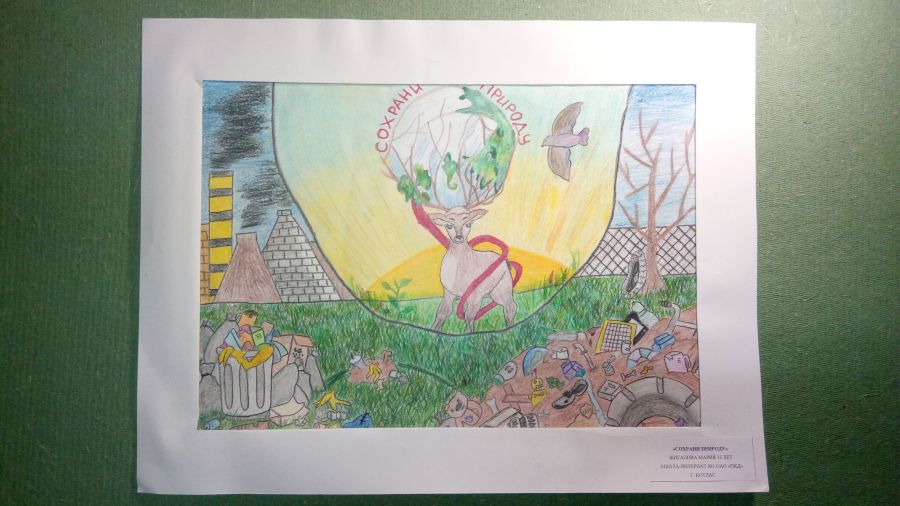 Международный Конкурс детского рисунка в рамках номинации «Экологическое образование, просвещение и культура» Международной экологической премии «EcoWorld» 2020 (возрастная группа 8-17 лет) - фото 50