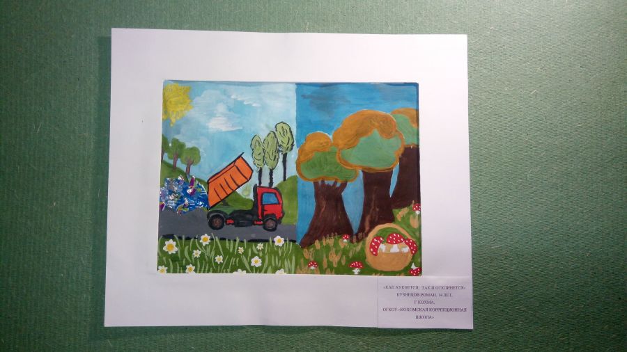 Международный Конкурс детского рисунка в рамках номинации «Экологическое образование, просвещение и культура» Международной экологической премии «EcoWorld» 2020 (возрастная группа 8-17 лет) - фото 61
