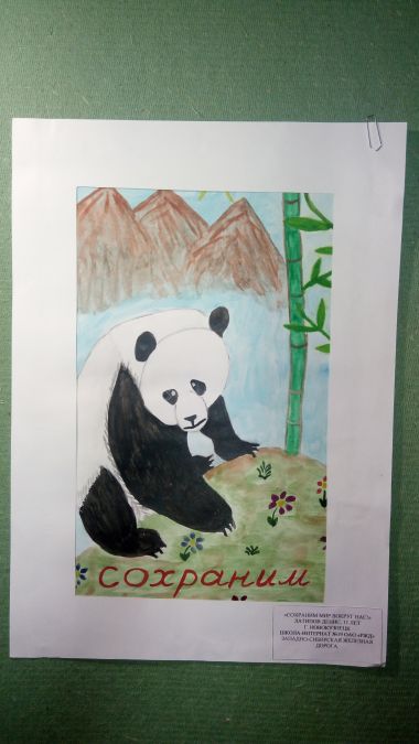 Международный Конкурс детского рисунка в рамках номинации «Экологическое образование, просвещение и культура» Международной экологической премии «EcoWorld» 2020 (возрастная группа 8-17 лет) - фото 67