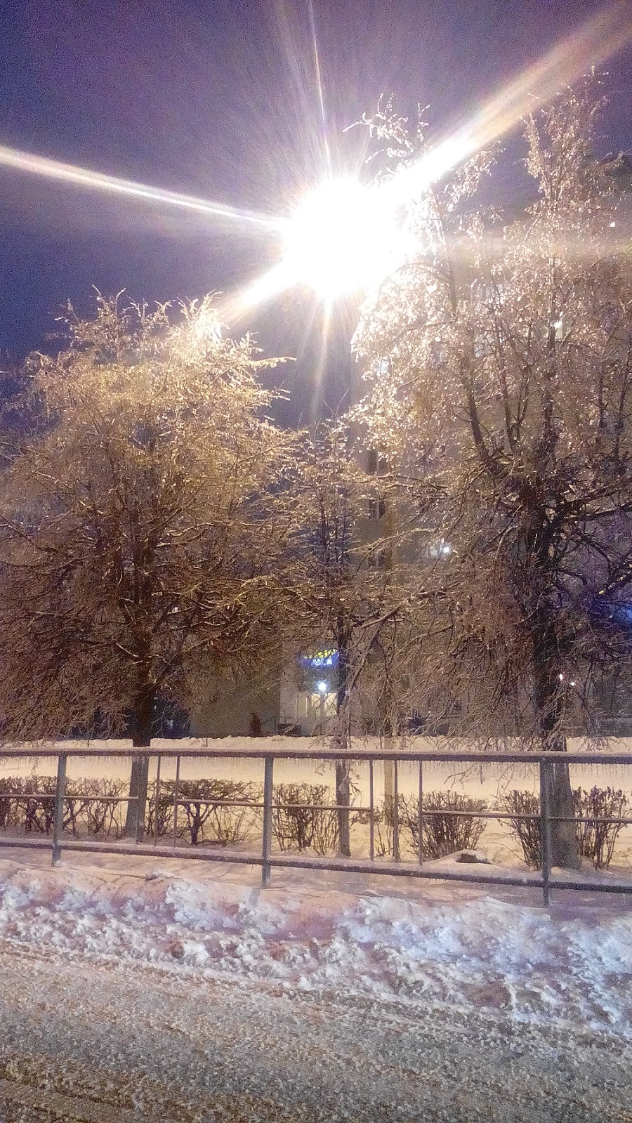 Ледяной дождь сделал деревья хрустальными - фото 2