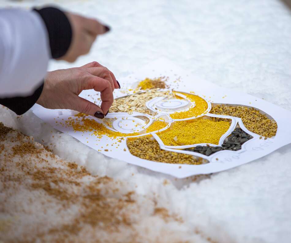 Снежный холст: более 700 москвичей в поддержку птиц создали съедобные картины - фото 14