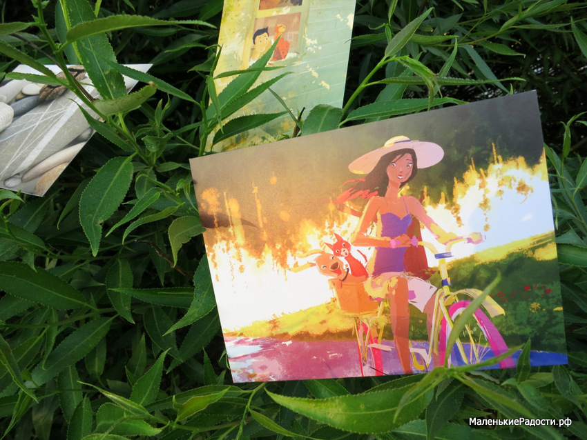 Эко-открытки, которые радуют и людей и природу - фото 4