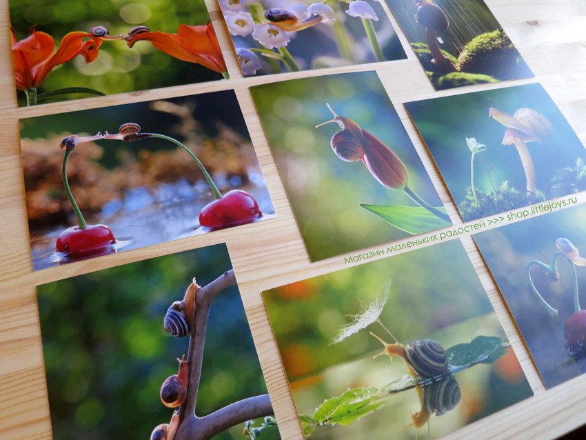 Эко-открытки, которые радуют и людей и природу - фото 6