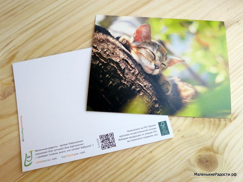 Эко-открытки, которые радуют и людей и природу - фото 3