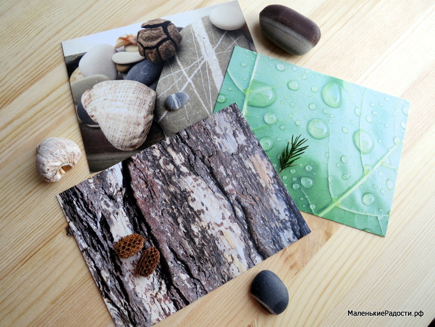 Эко-открытки, которые радуют и людей и природу - фото 2