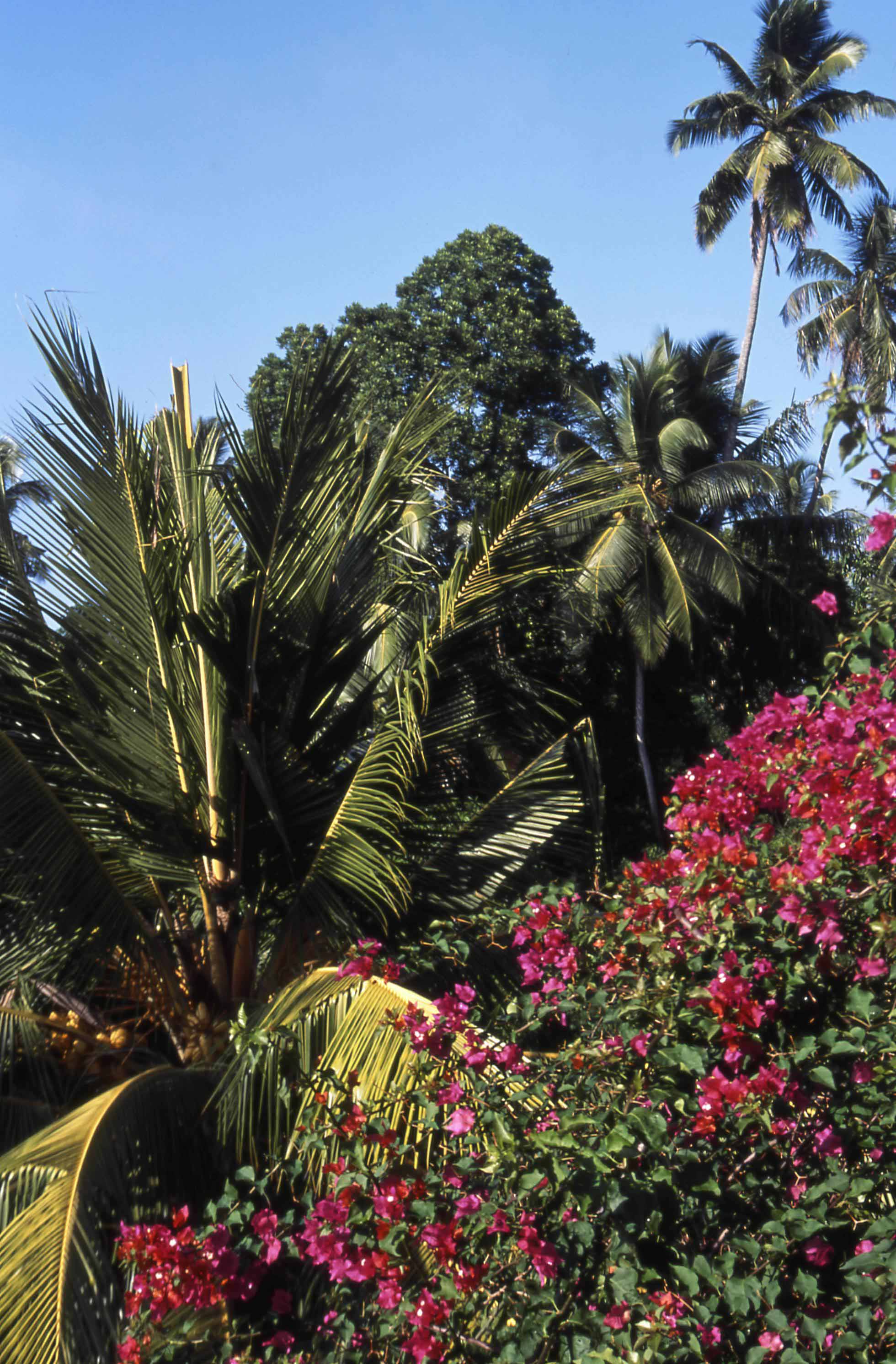  Экотуризм и заповедные парки Цейлона  - фото 4