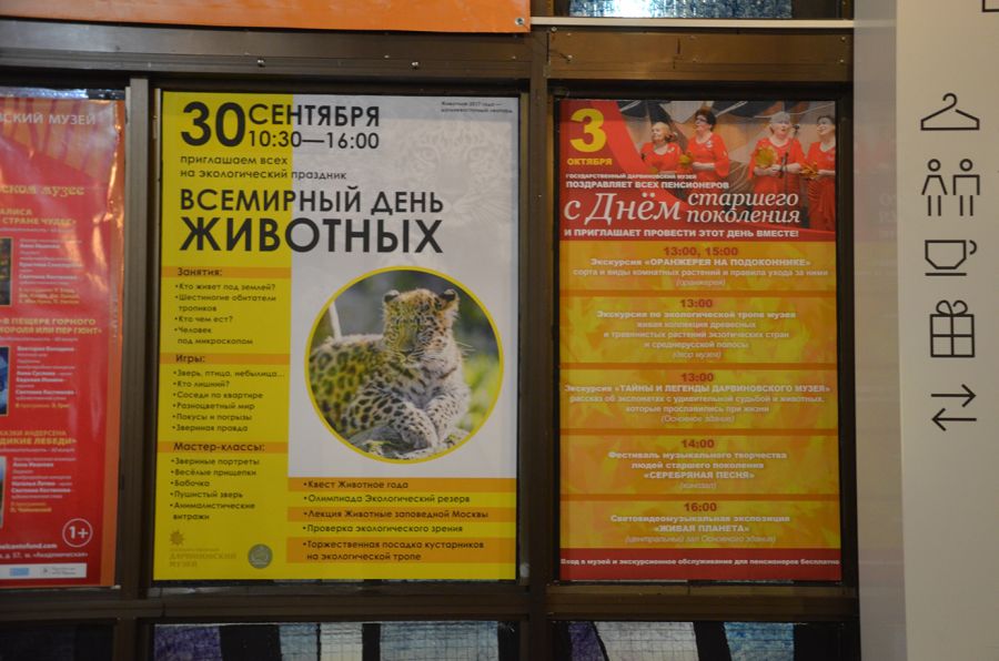 Как в День животных стать человеком. Праздник в Дарвиновском музее глазами "ЭкоГрада" (ФОТО, ВИДЕО) - фото 10