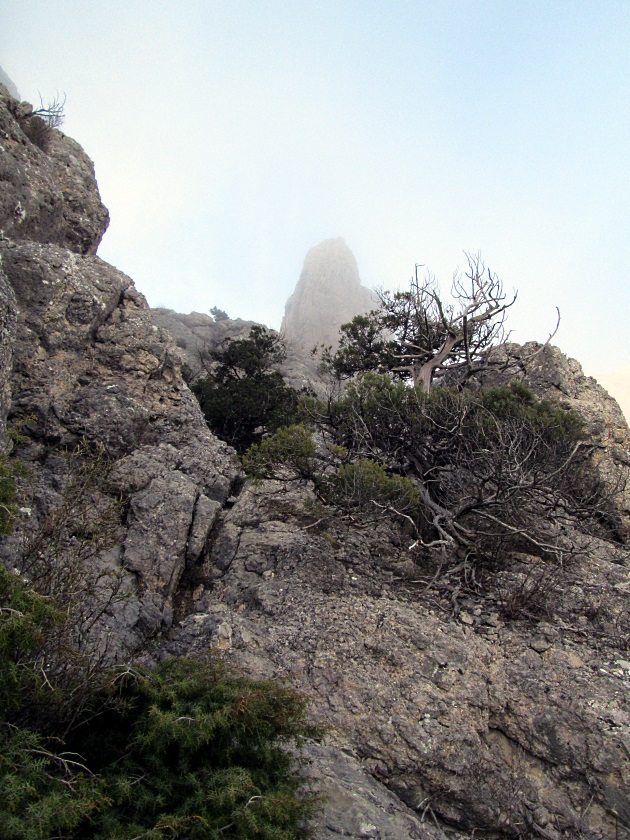 Весенняя сказка Крыма - фото 5