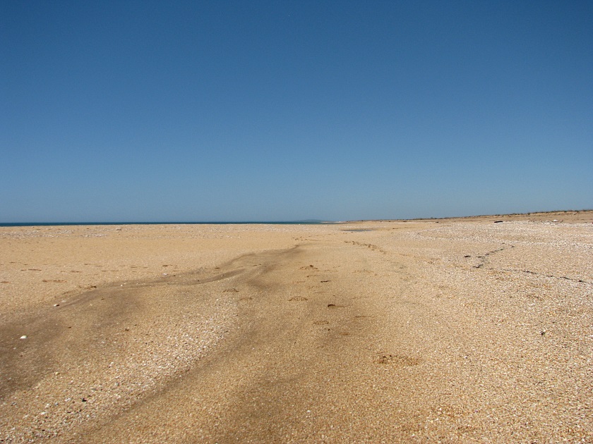 Мыс Опук-золотой песок и скалы-корабли - фото 7