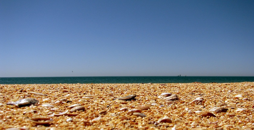 Мыс Опук-золотой песок и скалы-корабли - фото 9