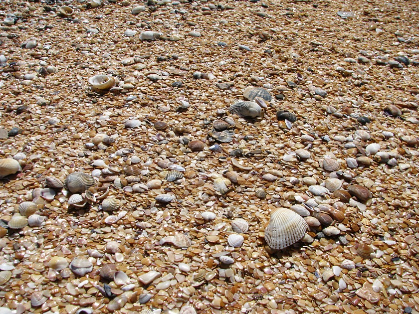 Мыс Опук-золотой песок и скалы-корабли - фото 13