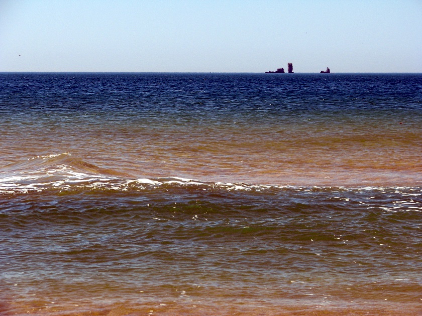 Мыс Опук-золотой песок и скалы-корабли - фото 27
