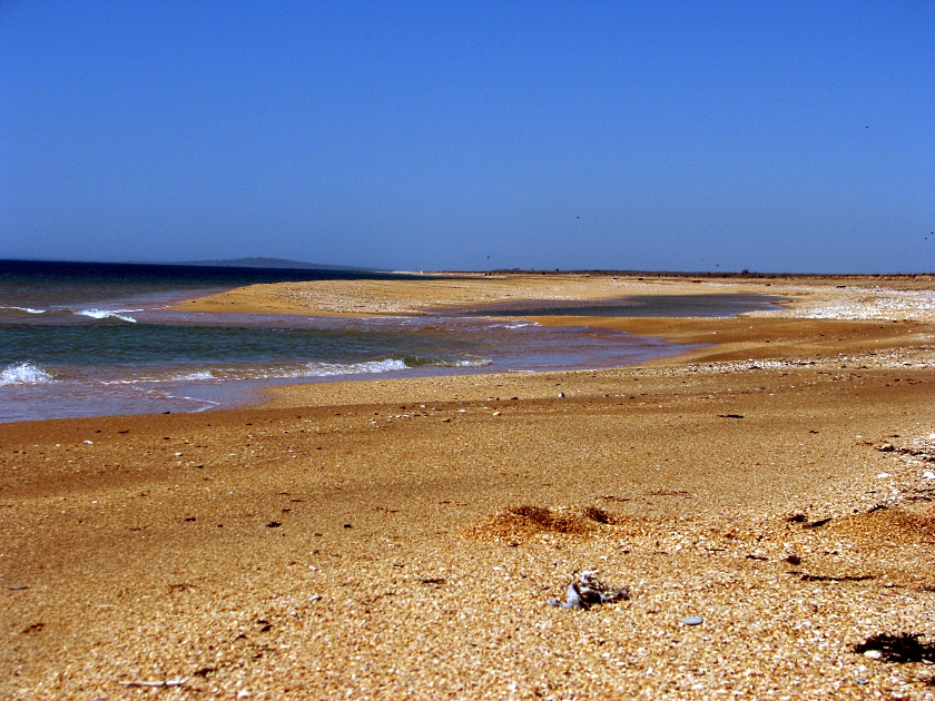 Мыс Опук-золотой песок и скалы-корабли - фото 29