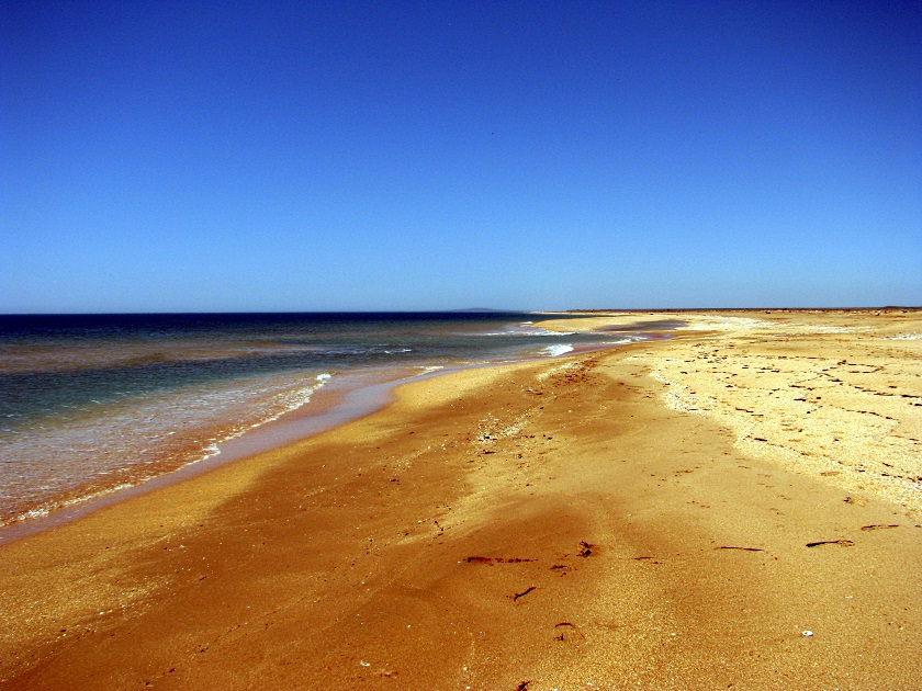 Мыс Опук-золотой песок и скалы-корабли - фото 30