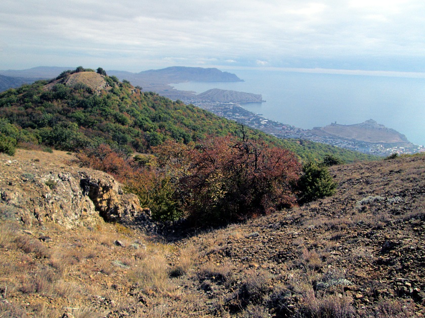 Как мы в лесу осень искали - фото 44