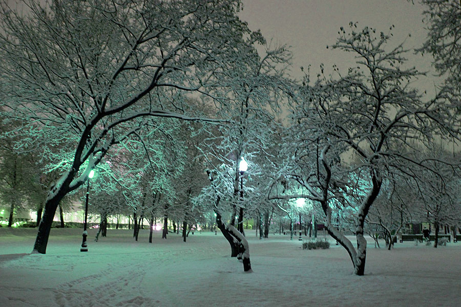В Москве продолжается снегопад - фото 1