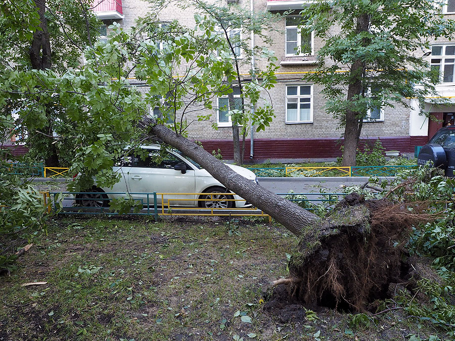 Последсвия грозы в Москве. - фото 21